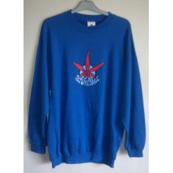 Sweatshirt i blå  størrelse M