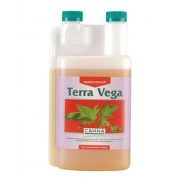 Canna Terra vega og flores