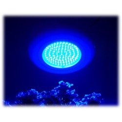 LED UFO 90Watt blå gro 